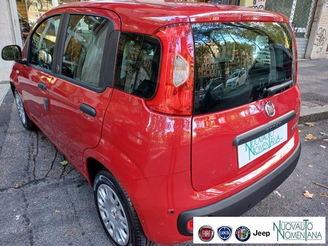 FIAT Panda Pandina 1.0 FireFly S&S Hybrid Pop Km0