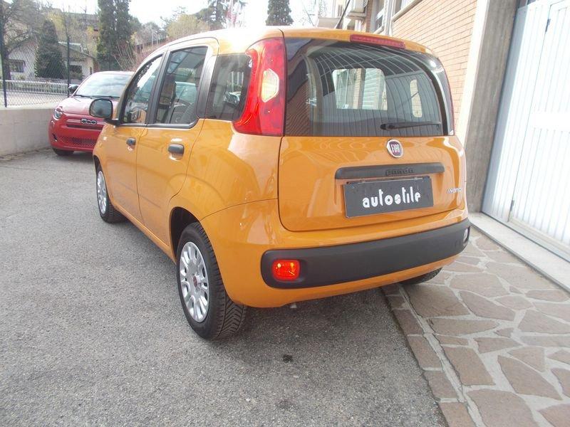 FIAT Panda 1.0 FireFly 70cv S&S Hybrid 338.7575187 MARCO MASSARI
