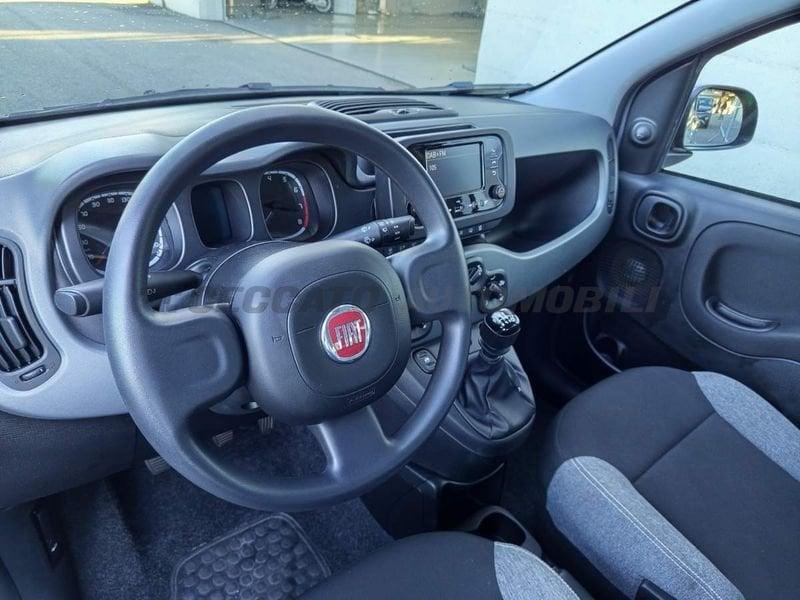 FIAT Panda Panda 1.0 firefly hybrid City Life s&s 70cv 5p.ti