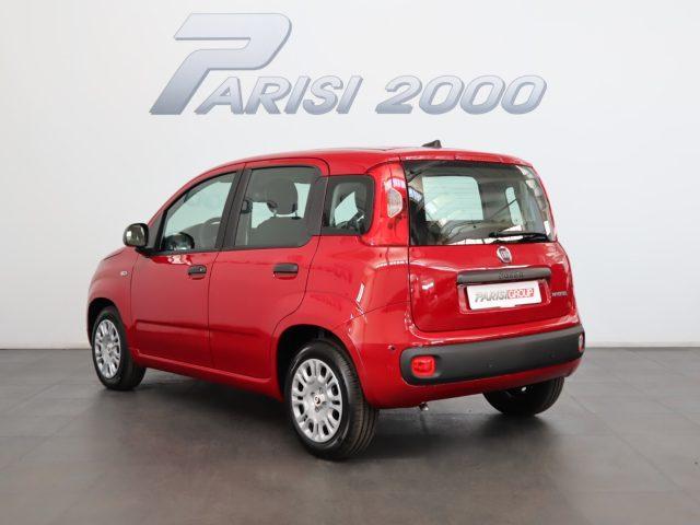FIAT Panda 1.0 FireFly S&S Hybrid *PROMO PARISI GROUP*
