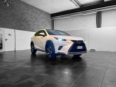 Lexus NX 300 300 2.5 Hybrid Luxury 4WD CVT