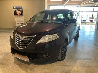 Lancia Ypsilon 1.2 69 CV 5 porte Elefantino