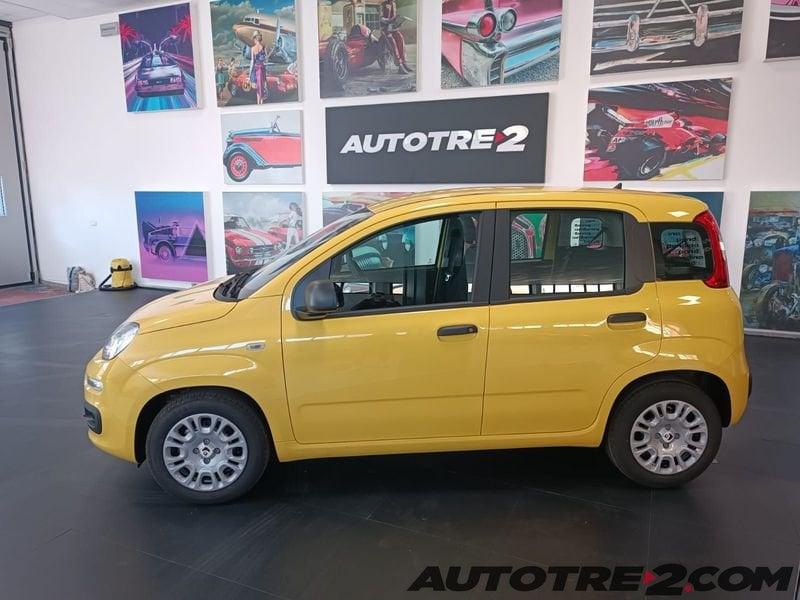 FIAT Panda Panda 1.0 FireFly S&S Hybrid Pop PANDINA DA € 9950 ANCHE A GIUGNO !!!