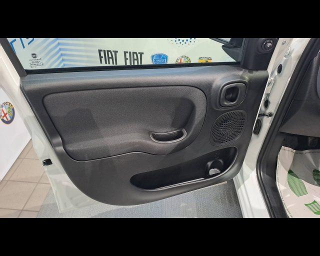 FIAT Panda 1.0 firefly hybrid Icon s&s 70cv