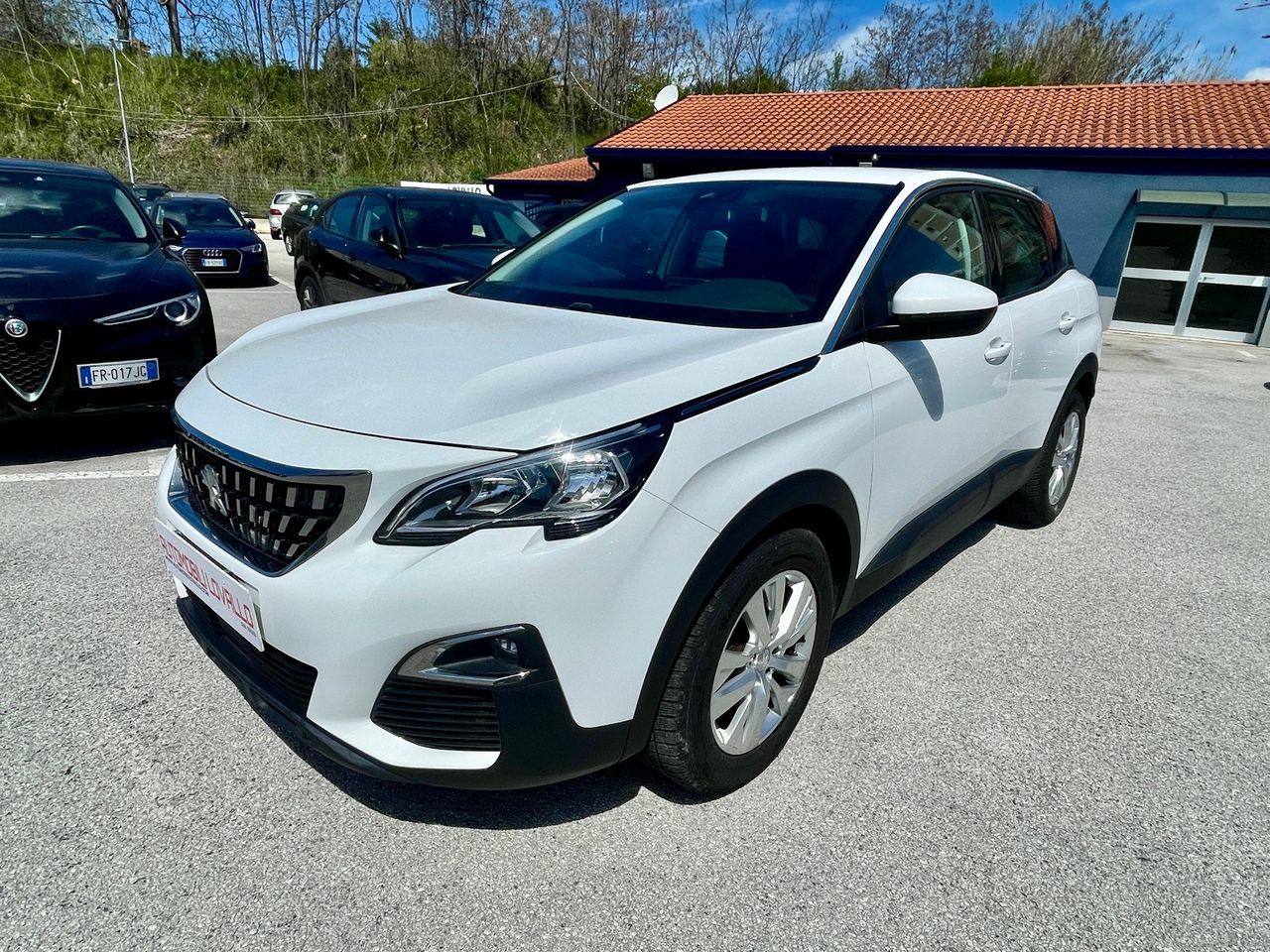 Peugeot 3008 BlueHDi 130CV 6M Business NAVI