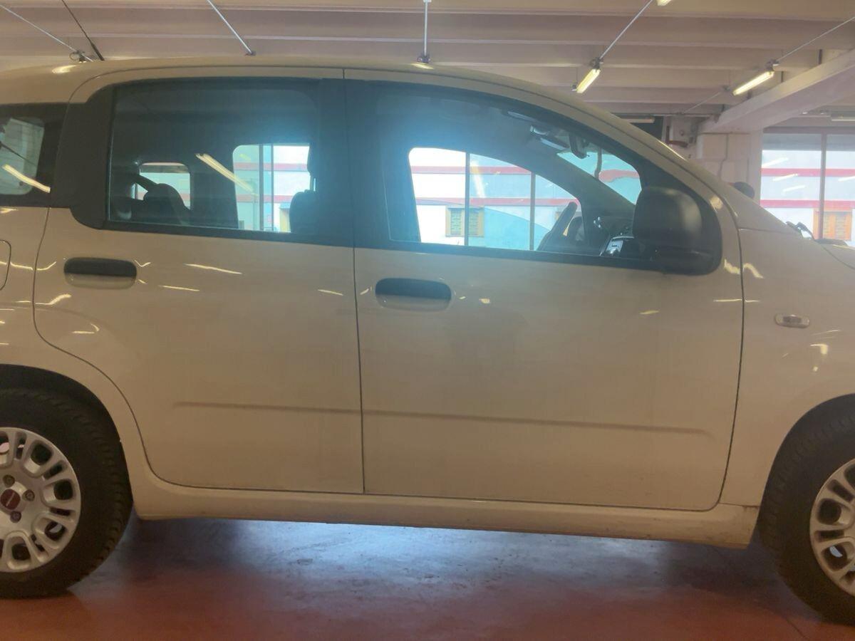 Fiat Panda 1.2 Easy Benzina