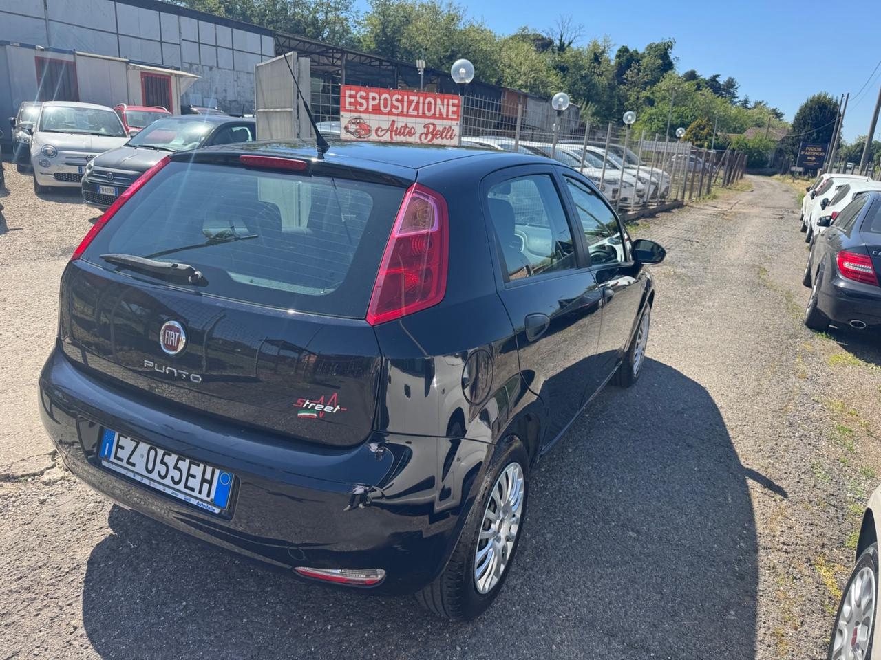 Fiat Punto 1.2 8V 5 porte Street NEOPATENTATI