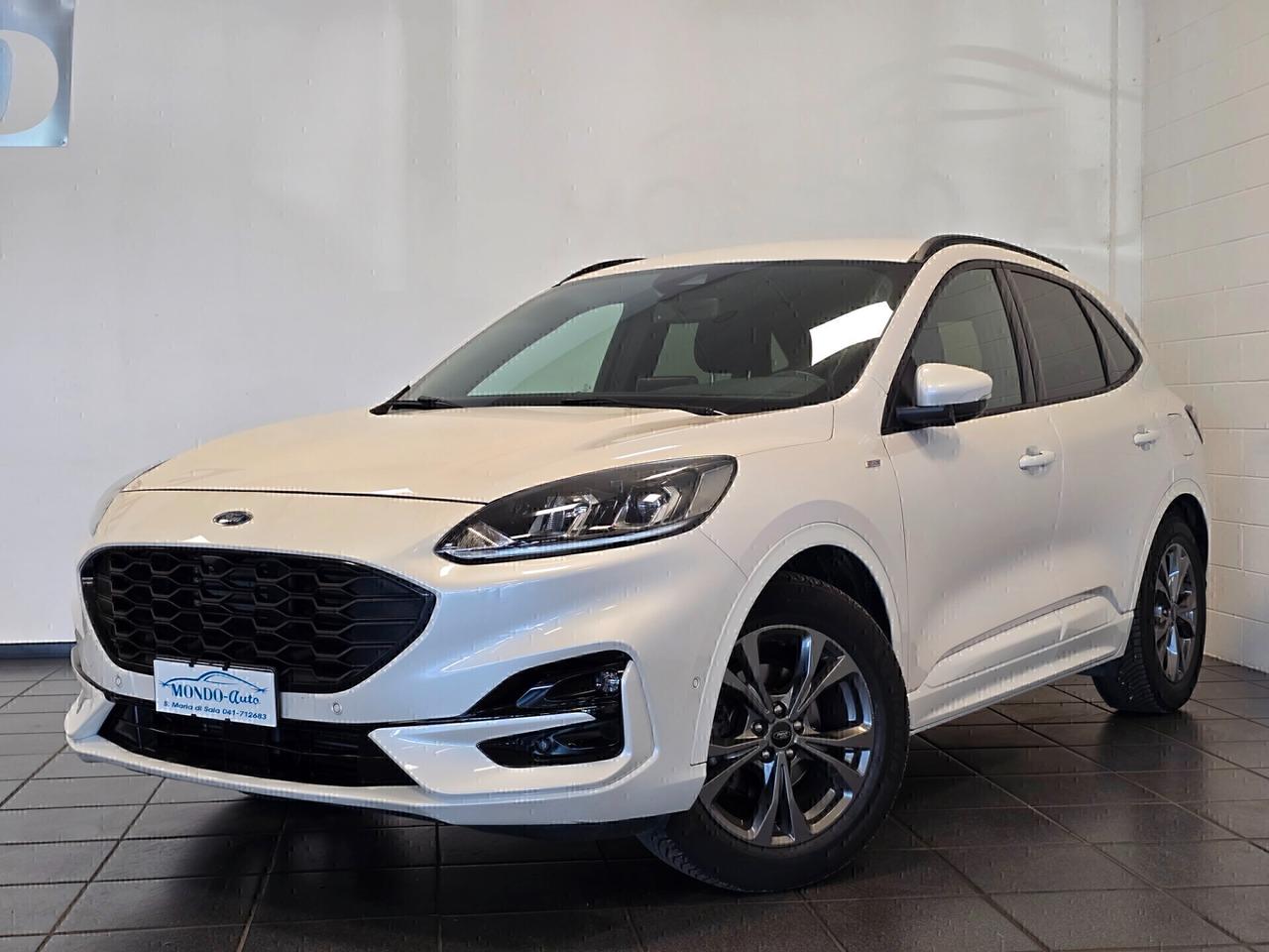 Ford Kuga 1.5 EcoBlue 120 CV aut. 2WD ST-Line X 2020