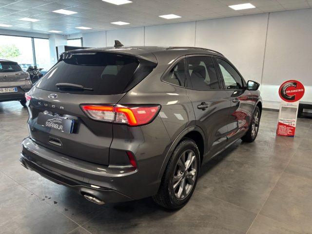 FORD Kuga 1.5 Benzina ST-Line 2WD