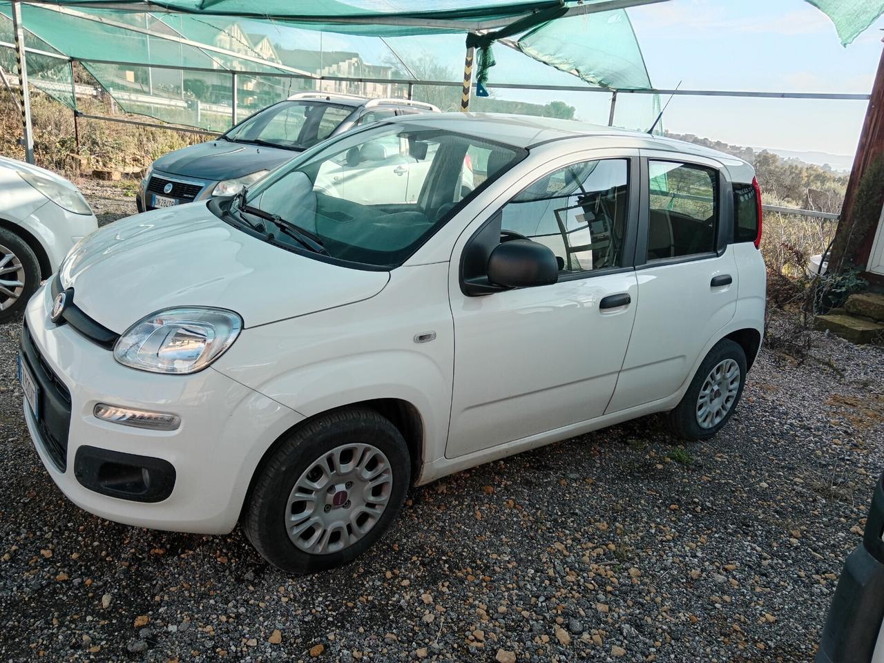 Fiat Panda 1.2 Classic