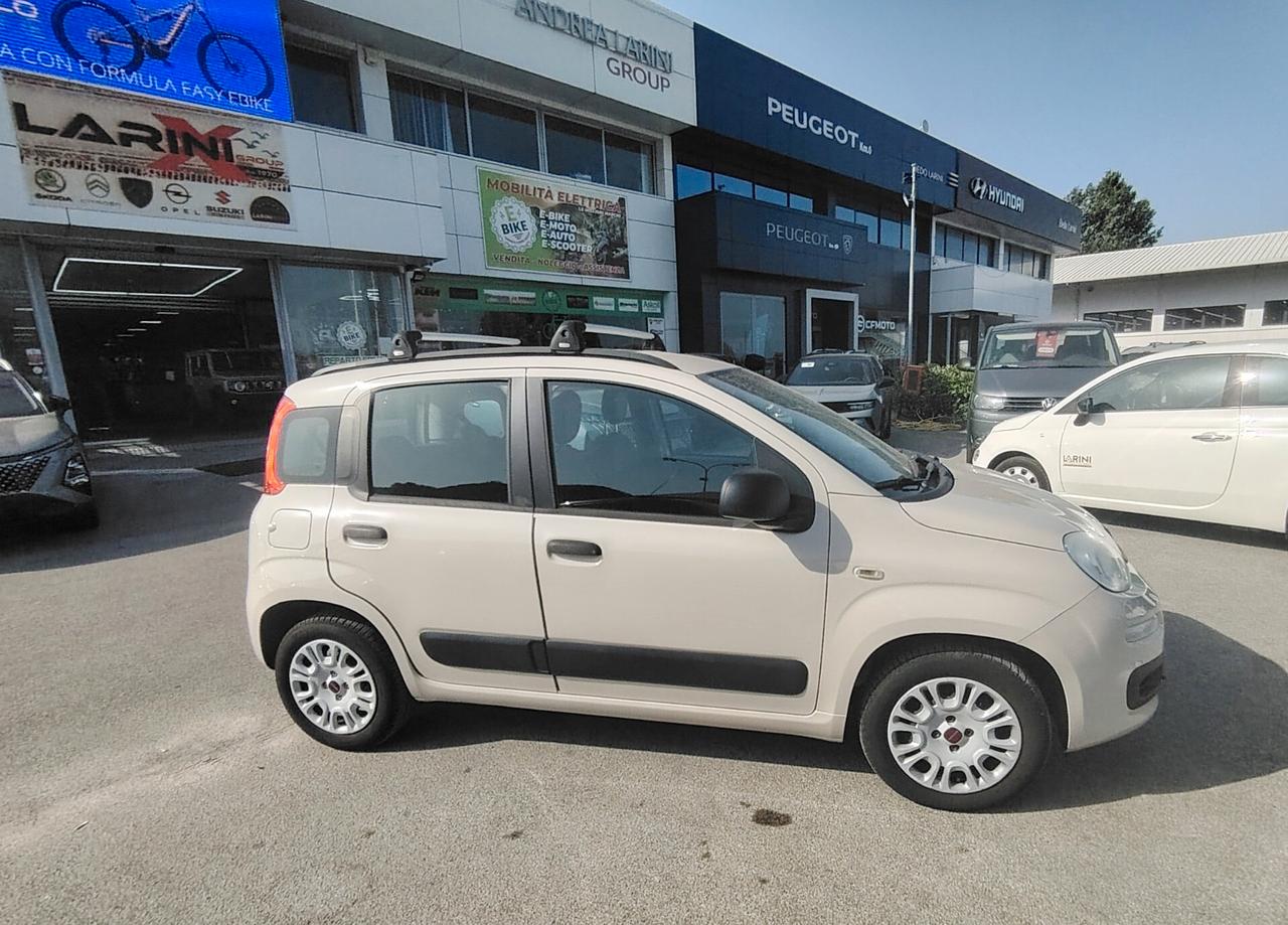 Fiat Panda 1.2 Pandazzurri - NEOPATENTATI