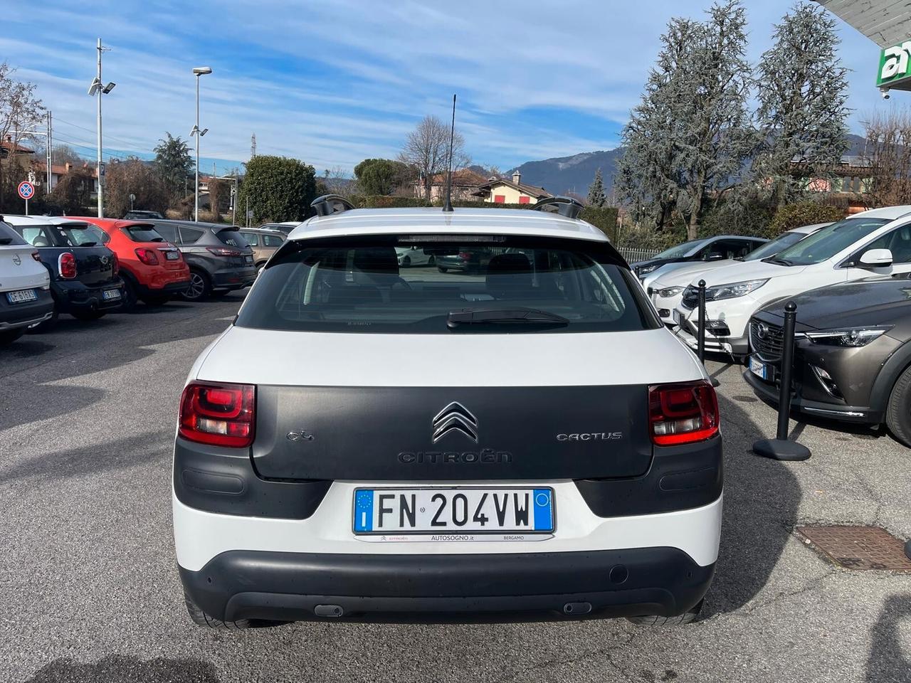 Citroen C4 Cactus BlueHDi 100 S&S Shine