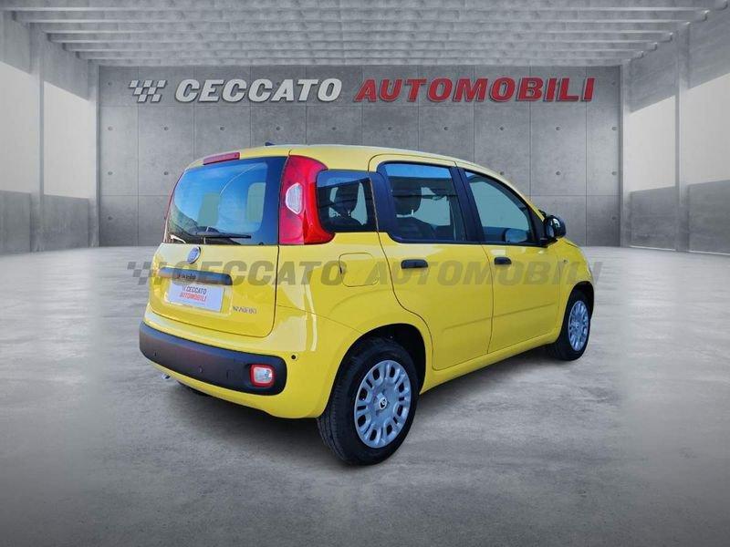 FIAT Panda Panda 1.0 70cv Hybrid Icon