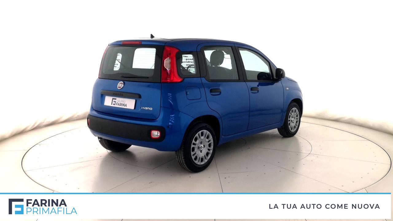 FIAT Panda III 2021 - Panda 1.0 firefly hybrid Pop s&s 70cv