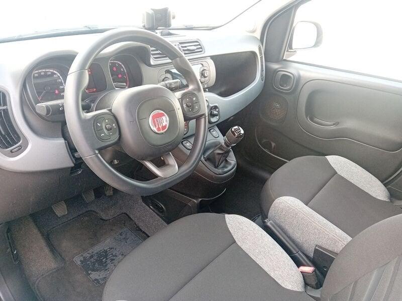 FIAT Panda Panda 1.0 firefly hybrid City Life s&s 70cv