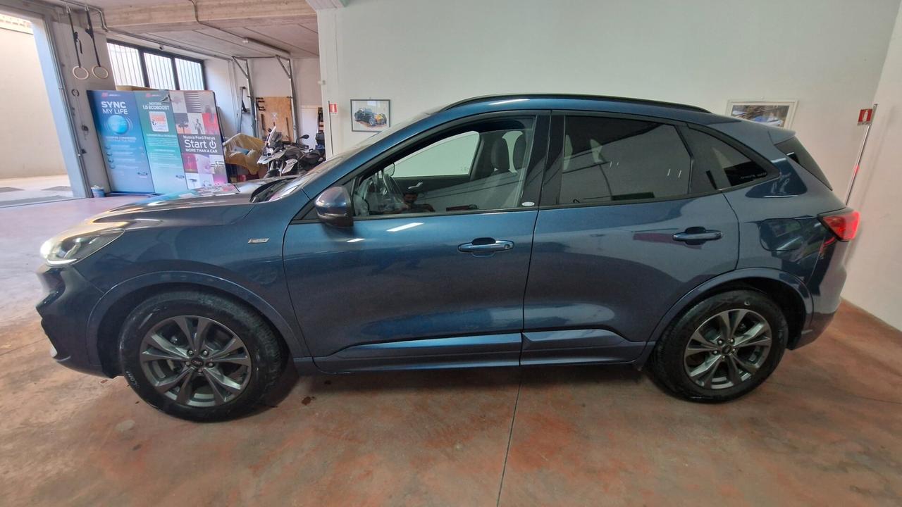 Ford Kuga 1.5 EcoBlue 120 CV aut. 2WD ST-Line led N1