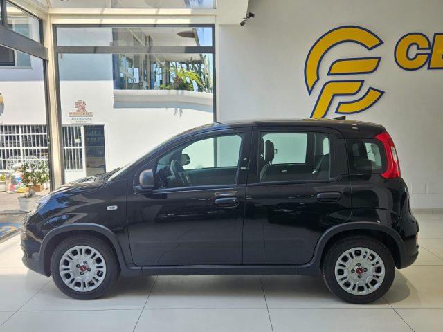 FIAT Panda 1.0 FireFly S&S Hybrid tua da ?139,00 mensili