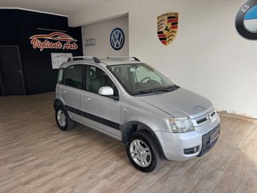 Fiat Panda 1.3 MJT 16V DPF 4x4 Climbing