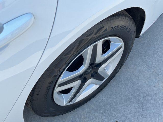 FORD Focus SW 1.5 120CV Autocarro