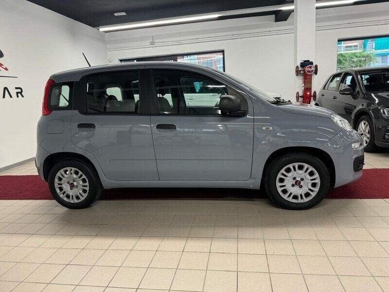 FIAT Panda Panda 1.2 Easy