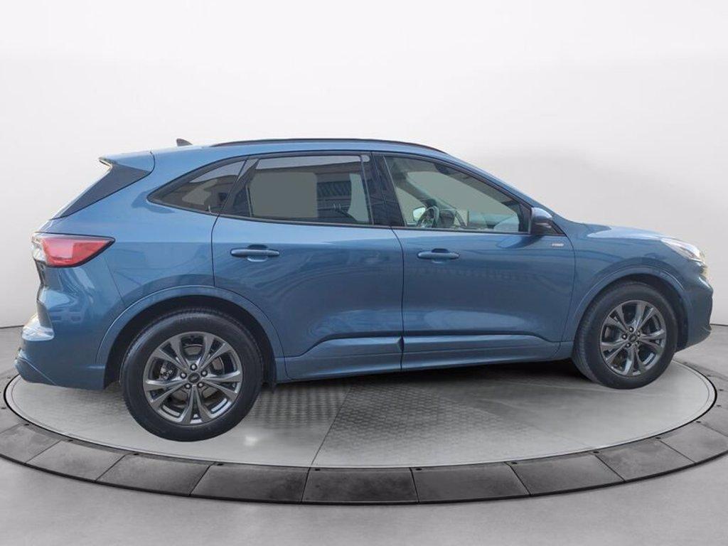 FORD Kuga 2.0 EcoBlue 120CV 2WD ST-Line X Auto del 2023