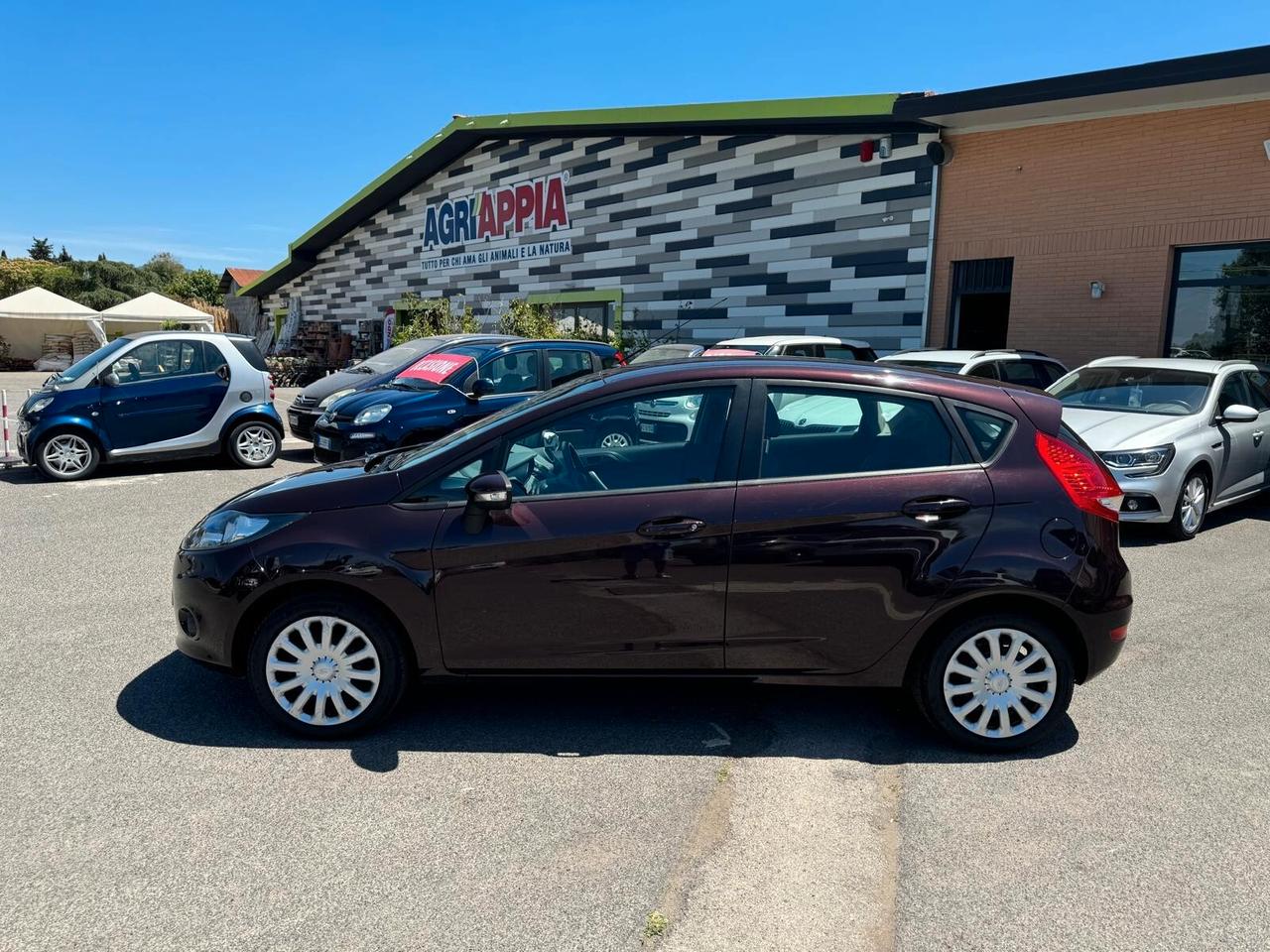 Ford Fiesta 1.2 BENZINA 82CV 5 PORTE 2010