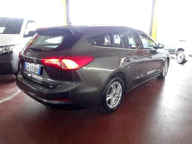 FORD Focus 1.5 EcoBlue 120 CV automatico SW Business Co-Pilot