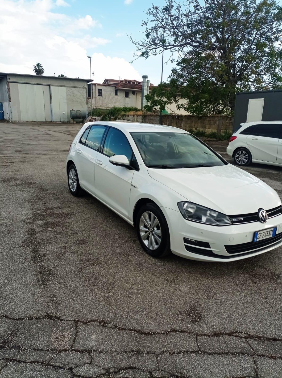 Volkswagen Golf 1.4 TGI DSG 5p. Executive 4 Free BlueMotion