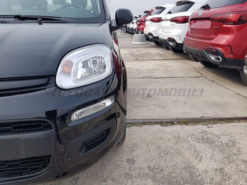 FIAT Panda Panda 1.0 firefly hybrid s&s 70cv