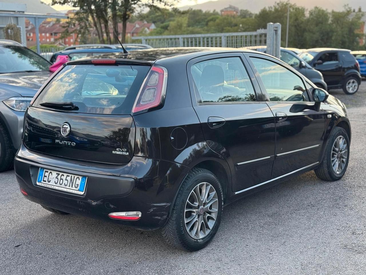 Fiat Punto Evo 1.4 5 porte Dynamic GPL