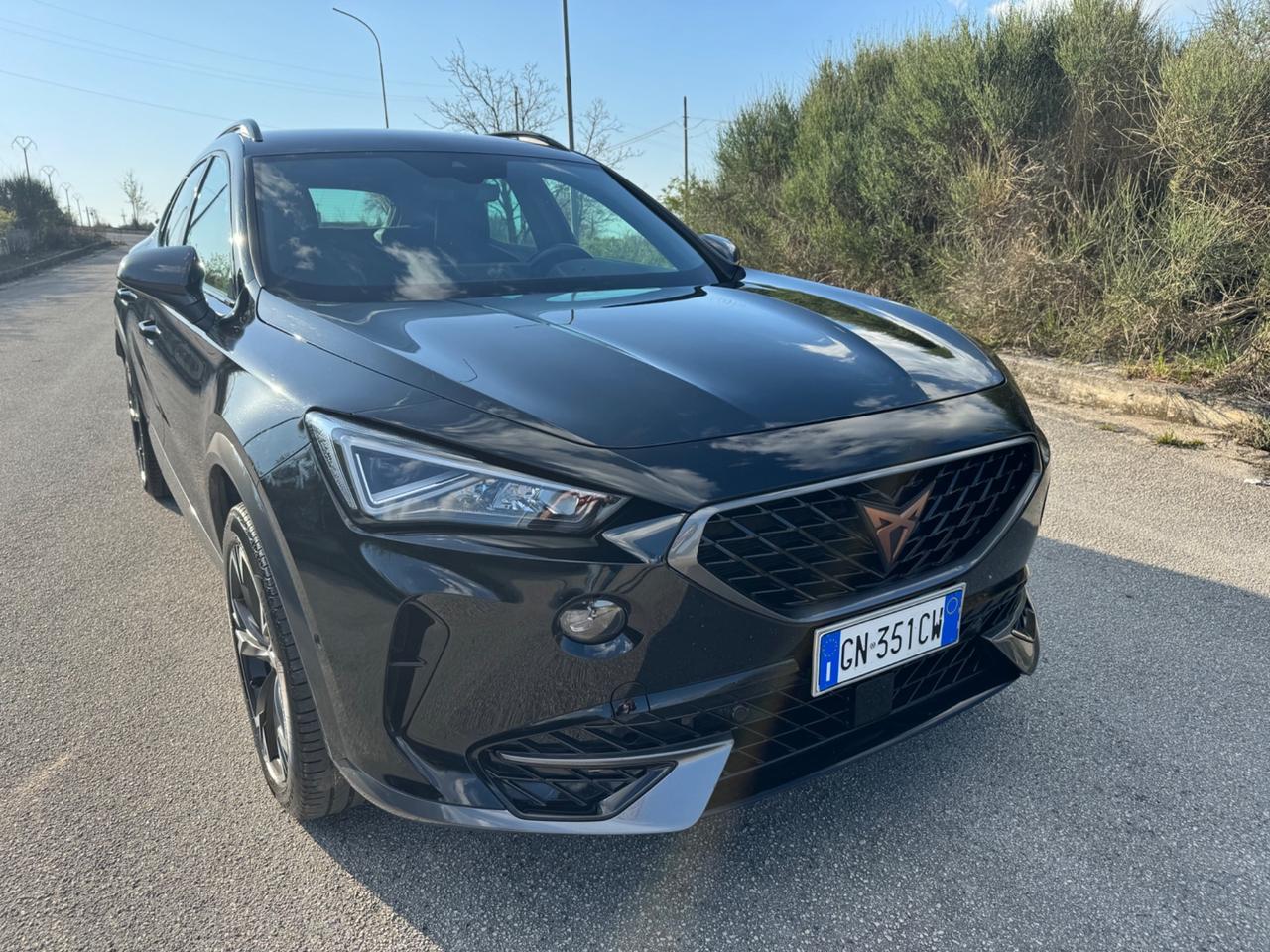 Cupra Formentor 2.0 TDI 4Drive DSG