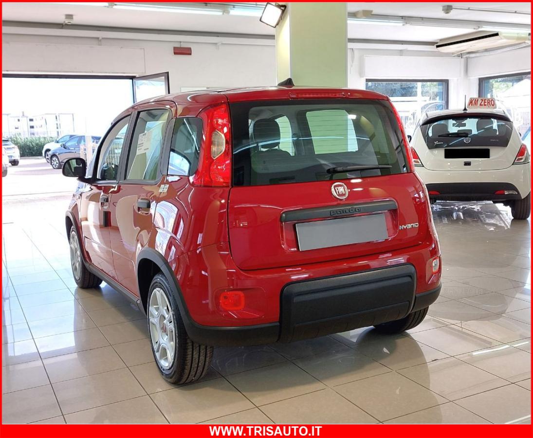 FIAT Panda 1.0 FireFly S&S Hybrid MY24 KM ZERO!!! IVATA NEOPATENTATI