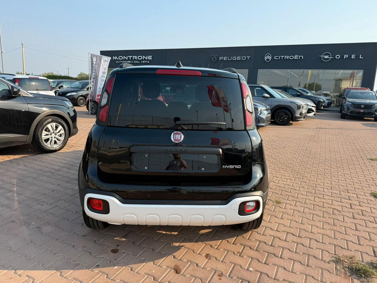 Fiat Panda Pandina 1.0 FireFly 65 CV Hybrid Cross