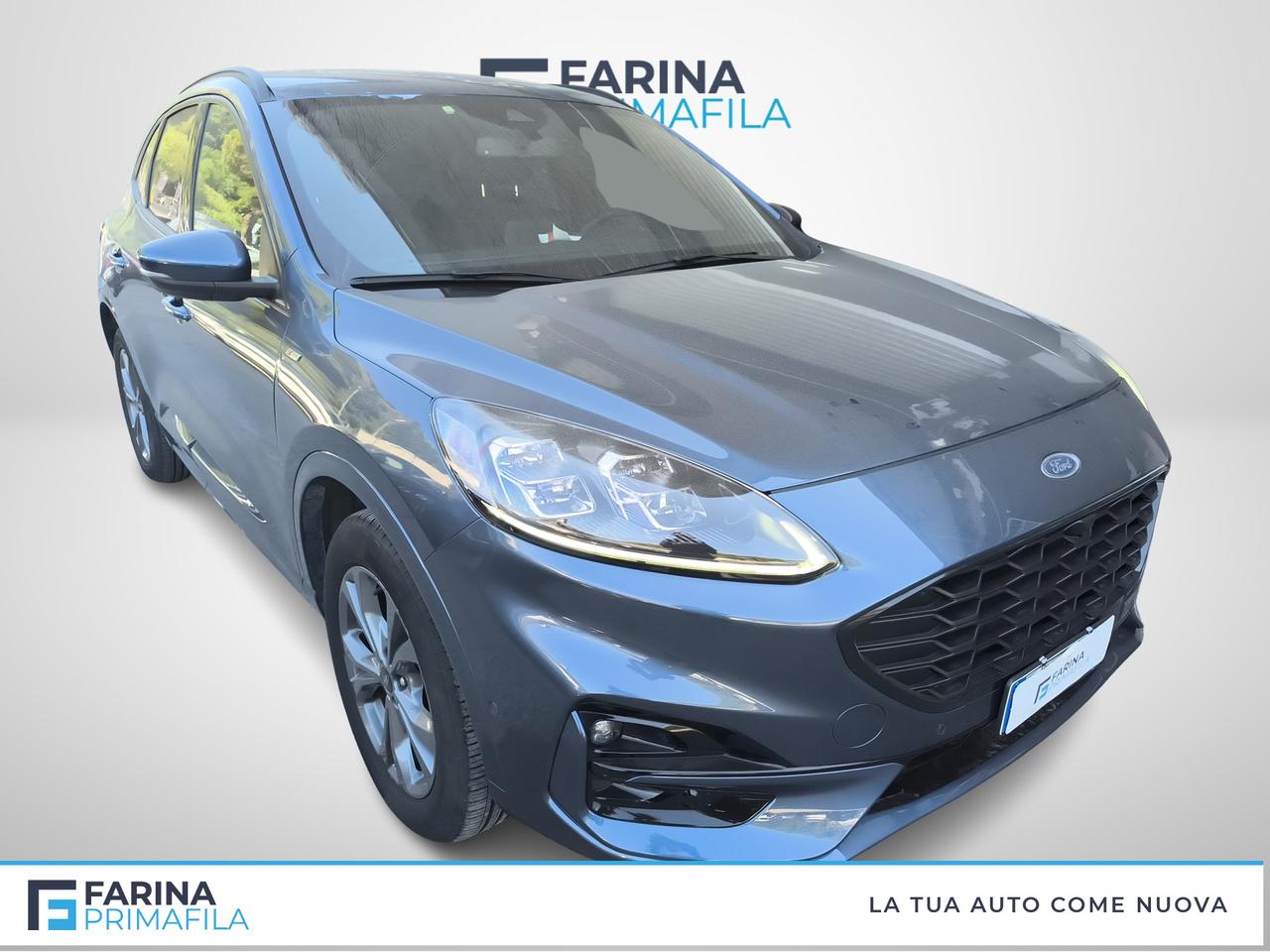 FORD Kuga III 2020 - Kuga 2.5 phev ST-Line X 2wd 225cv cvt