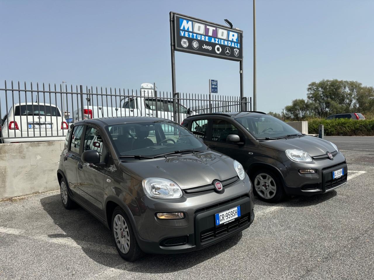 SOLO NOLEGGIO RENT Fiat Panda 1.0 FireFly Hybrid C