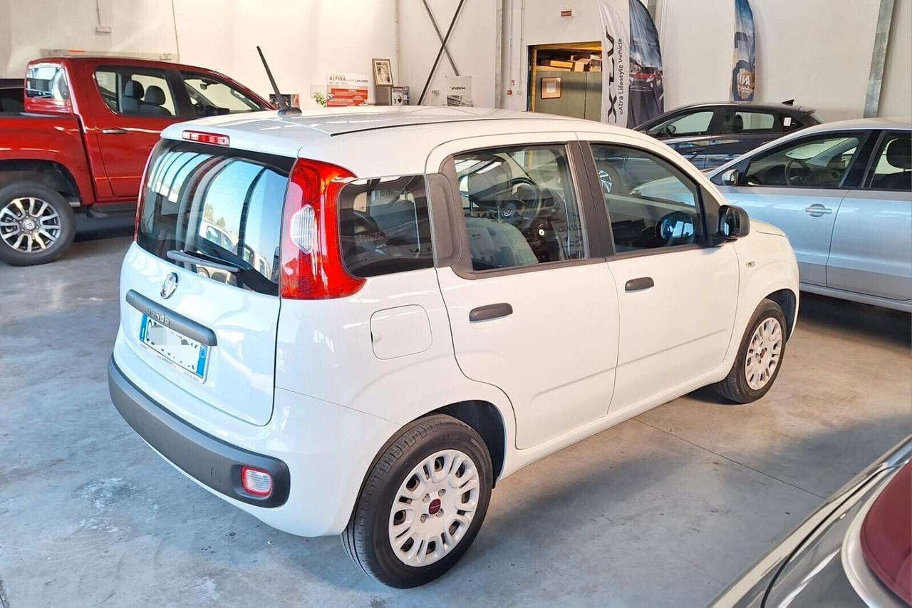 Fiat Panda 1.2 Easy NEOPATENTATI POCHI KM