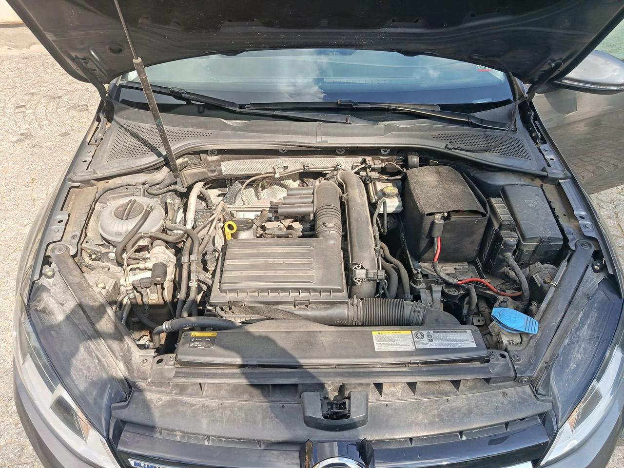 Volkswagen Golf Trendline 1.4 TGI BlueMotio #10089