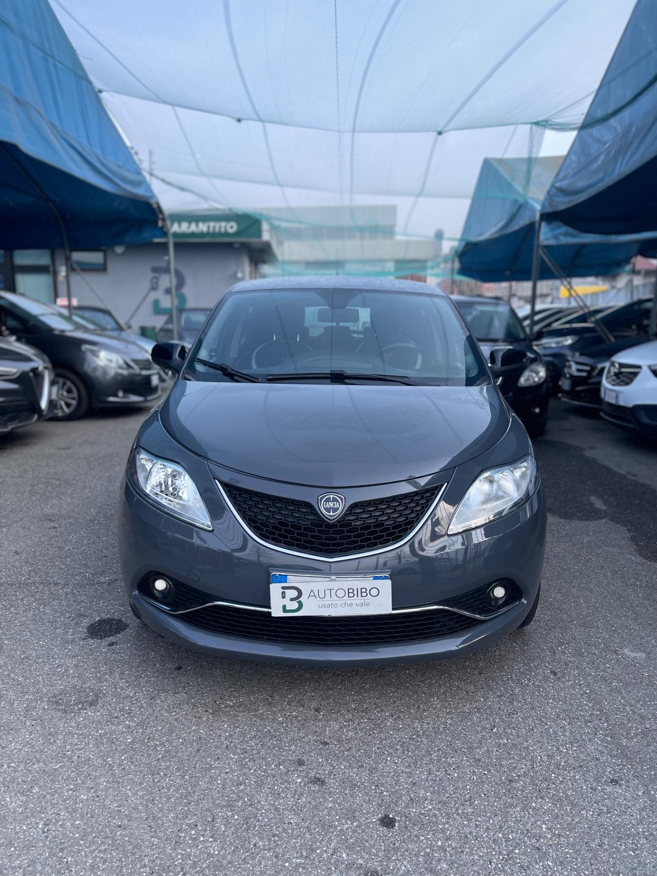 Lancia Ypsilon 1.2 69 CV 5 porte Platinum