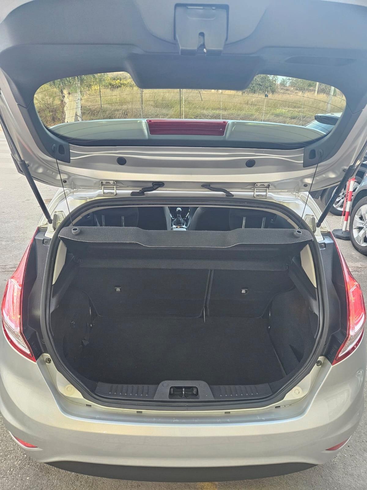Ford Fiesta 5p. 1.4 BENZ/GPL Titanium 95cv