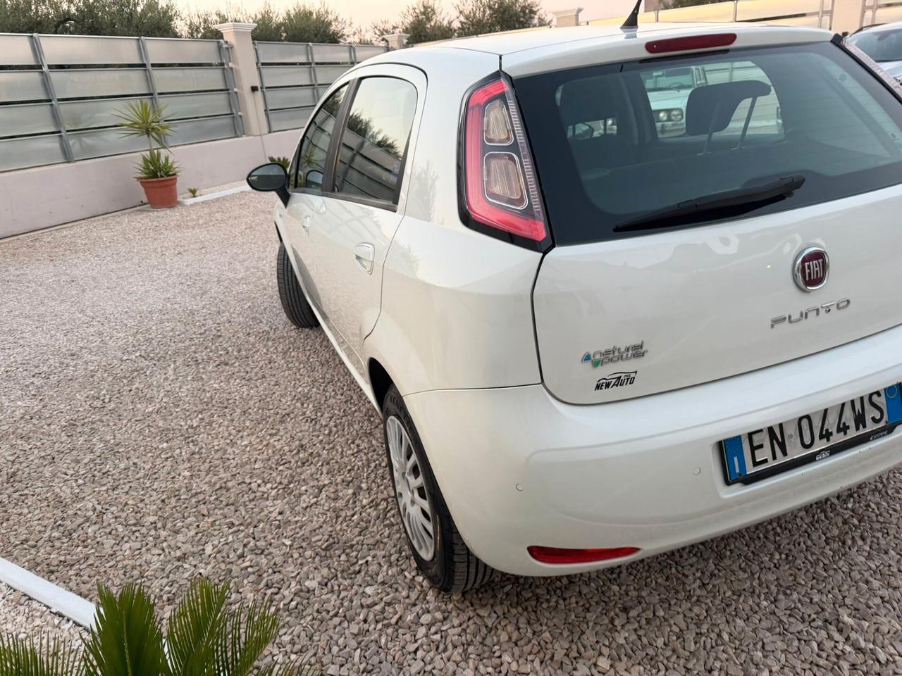 Fiat Punto 1.4 8V 5 porte Natural Power Lounge
