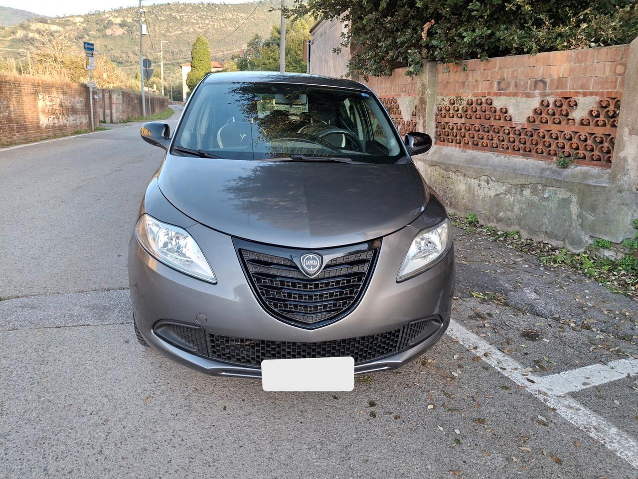 Lancia Ypsilon 1.3 MJT 16V 95 CV 5 porte S&S Platinum