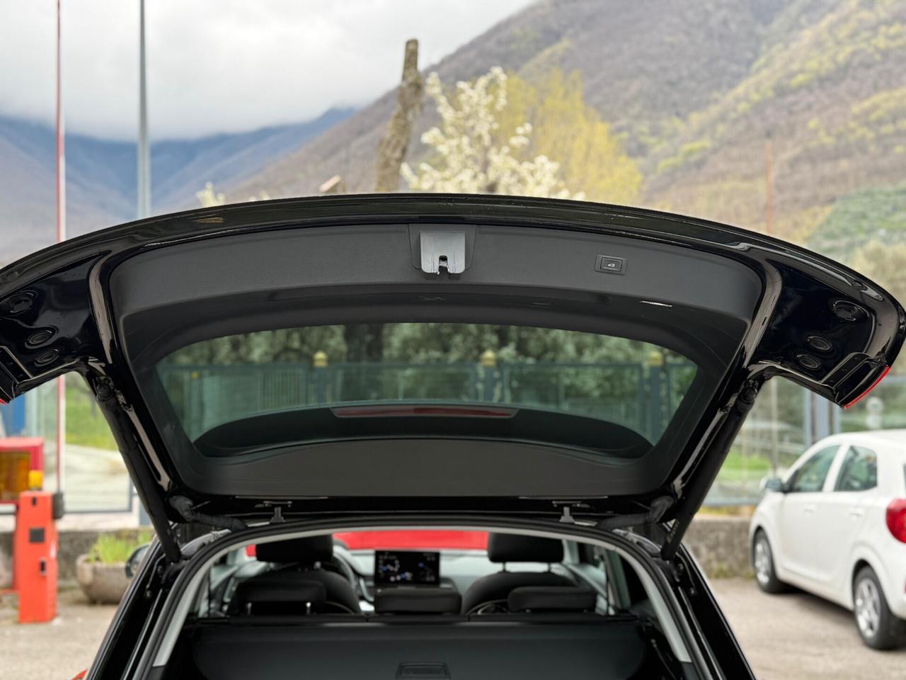 Audi Q5 2.0 TDI 204 CV Quattro S-Tronic Business Advanced