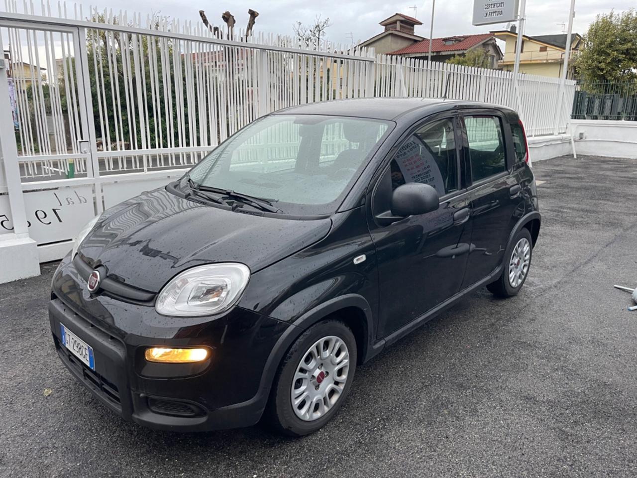 Fiat Panda 1.0 FireFly S&S Hybrid KM 19.200 SENSORI DI PARCHEGGIO