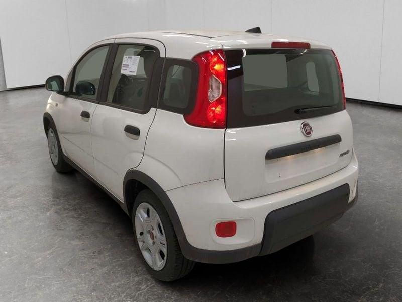FIAT Panda 1.0 firefly hybrid s&s 70cv