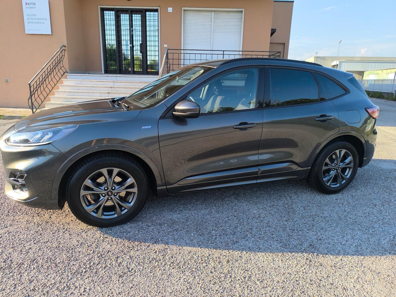 Ford Kuga 1.5 EcoBlue 120 CV aut. 2WD ST-Line Design