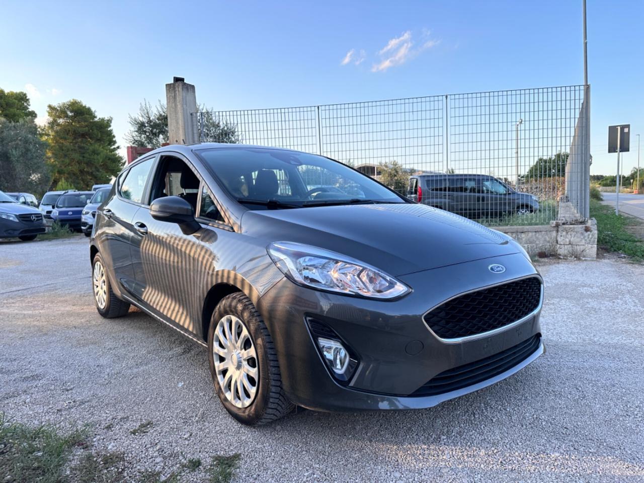 Ford Fiesta 1.5 EcoBlue 5 porte Plus-2019