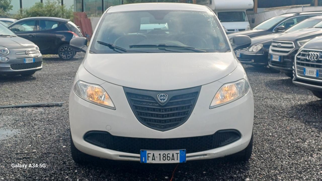 Lancia Ypsilon 1.2 69 CV 5 porte Elefantino