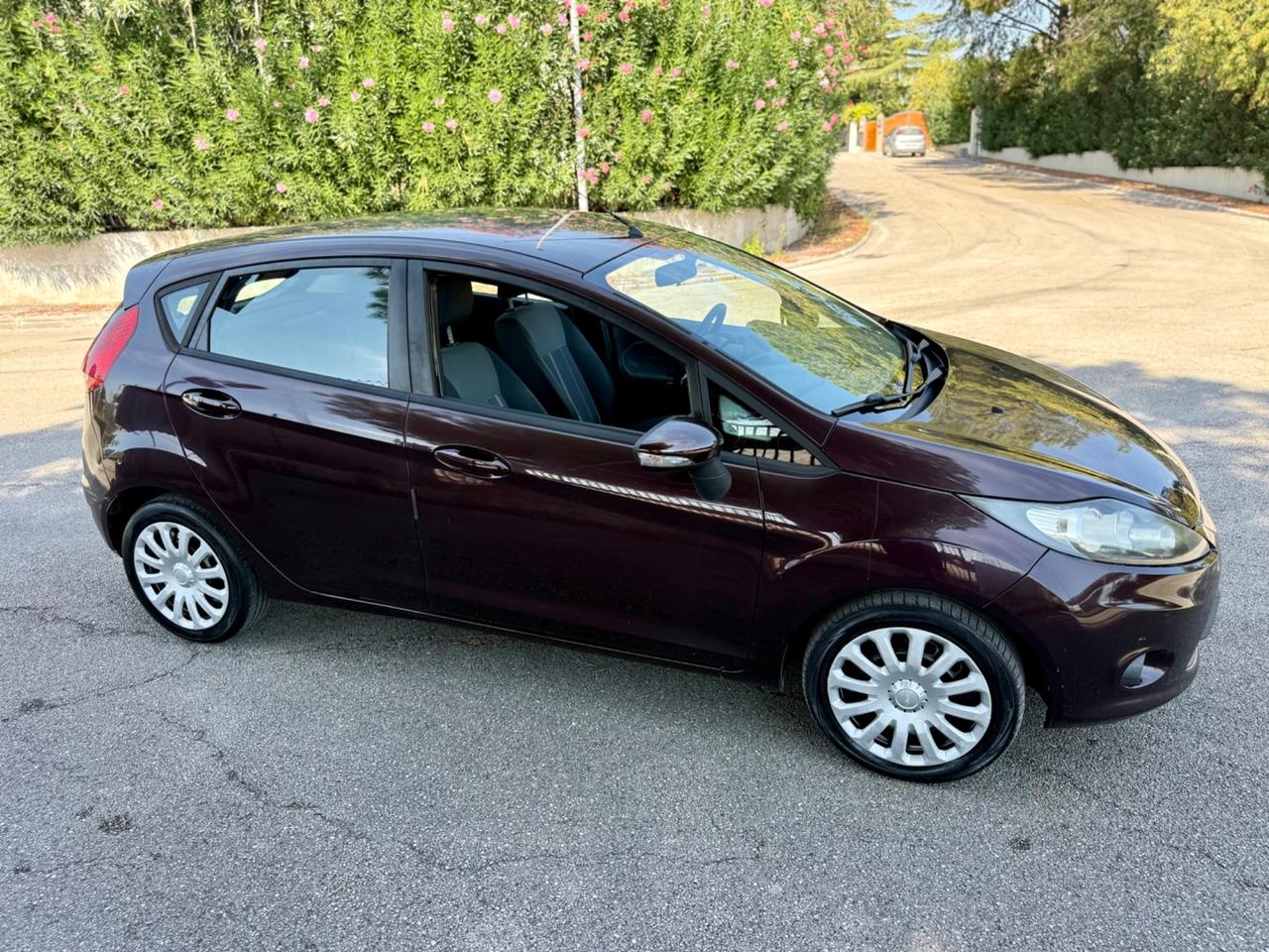 Ford Fiesta Diesel 1.4 TDCi Neopatentati