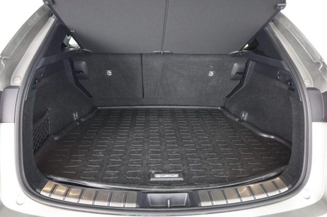 LEXUS Other NX NX Hybrid 4WD F-Sport
