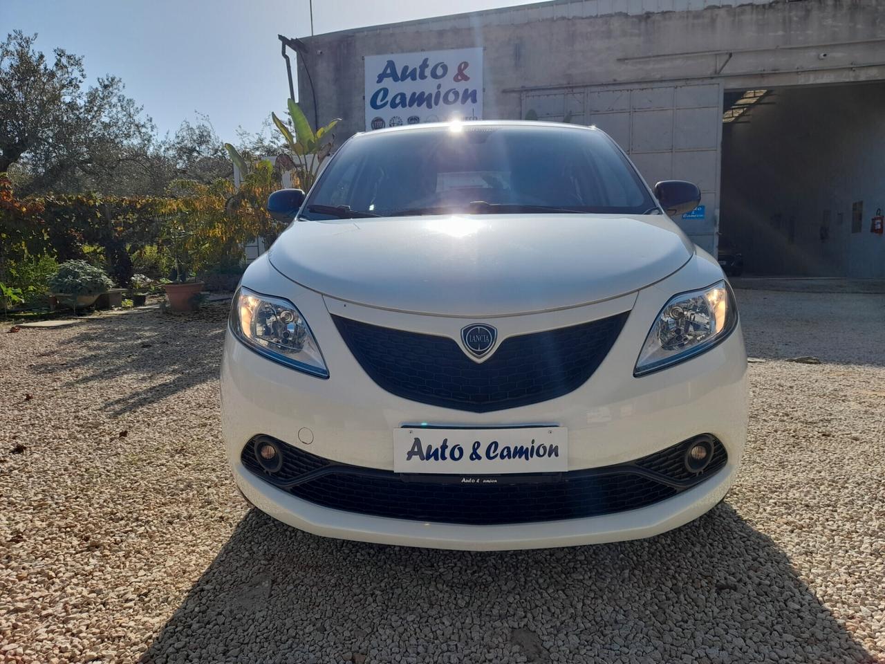 Lancia Ypsilon 1.2 69 CV Gold 2019 neopatentati ok